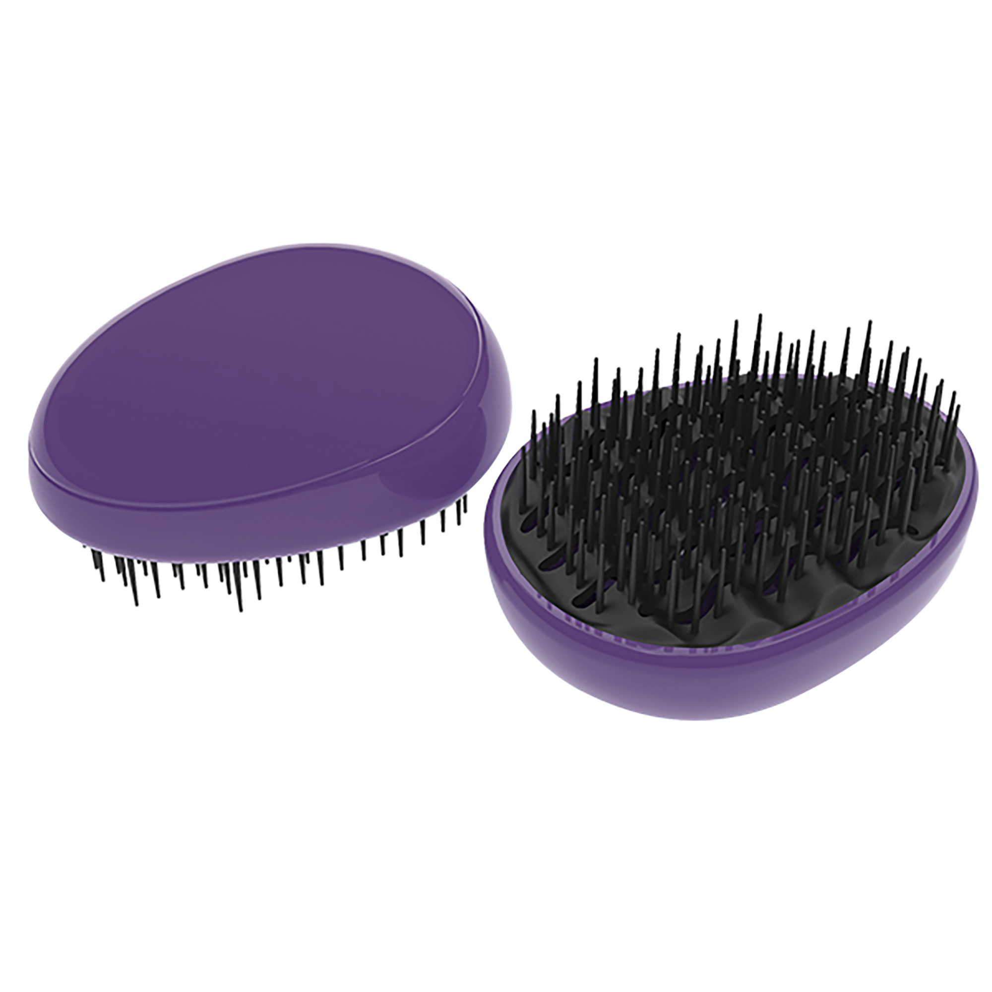 pennello uovo viola e nero